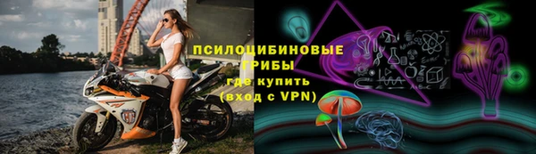 прущие грибы Надым