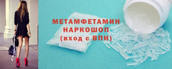 прущие грибы Надым