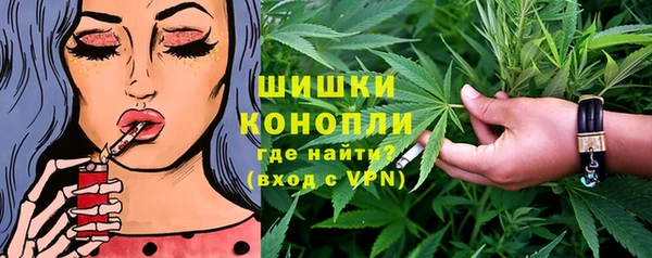 прущие грибы Надым