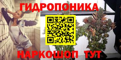 PSILOCYBIN Балаково