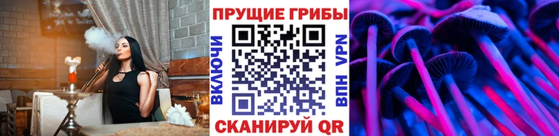 Псилоцибиновые грибы Cubensis Волгоград