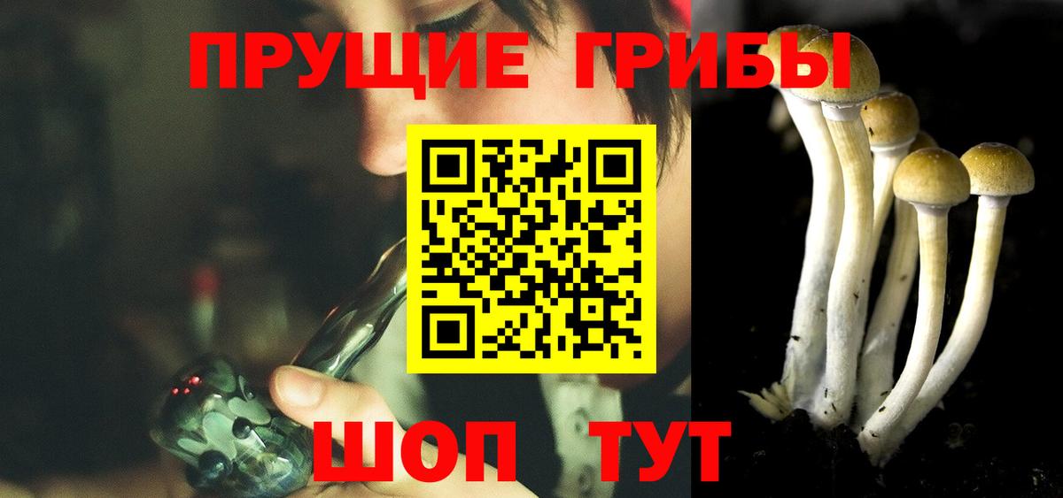 Галлюциногенные грибы Cubensis  Волгоград 