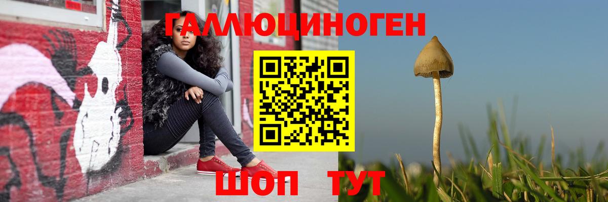 Волгоград  Псилоцибиновые грибы Cubensis  Вход с VPN 